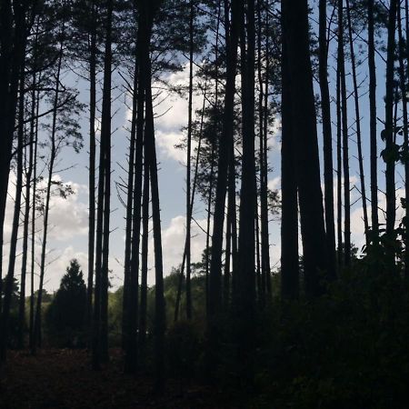 Forest Heath Shepherd'S Huts Ringwood Εξωτερικό φωτογραφία