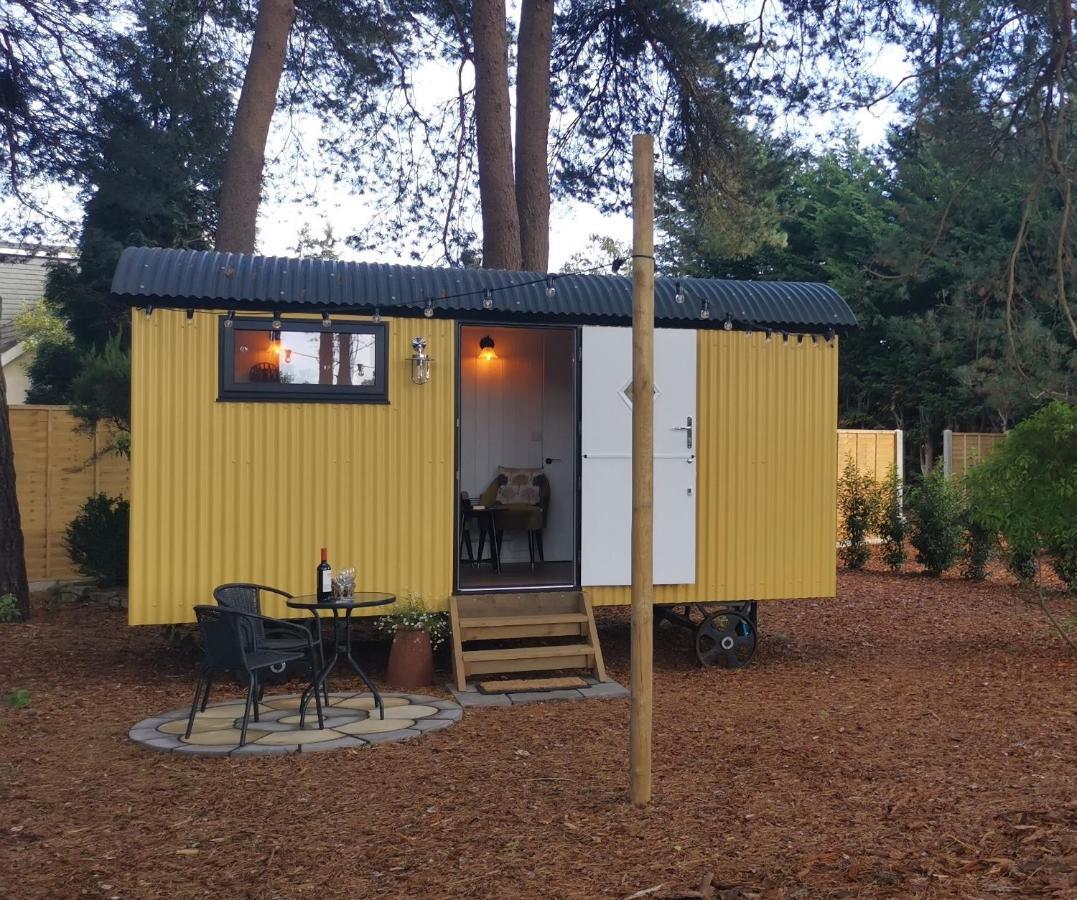 Forest Heath Shepherd'S Huts Ringwood Εξωτερικό φωτογραφία