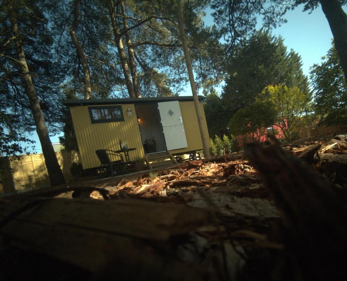 Forest Heath Shepherd'S Huts Ringwood Εξωτερικό φωτογραφία