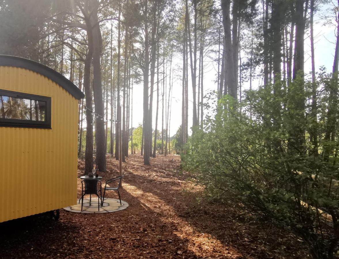 Forest Heath Shepherd'S Huts Ringwood Εξωτερικό φωτογραφία