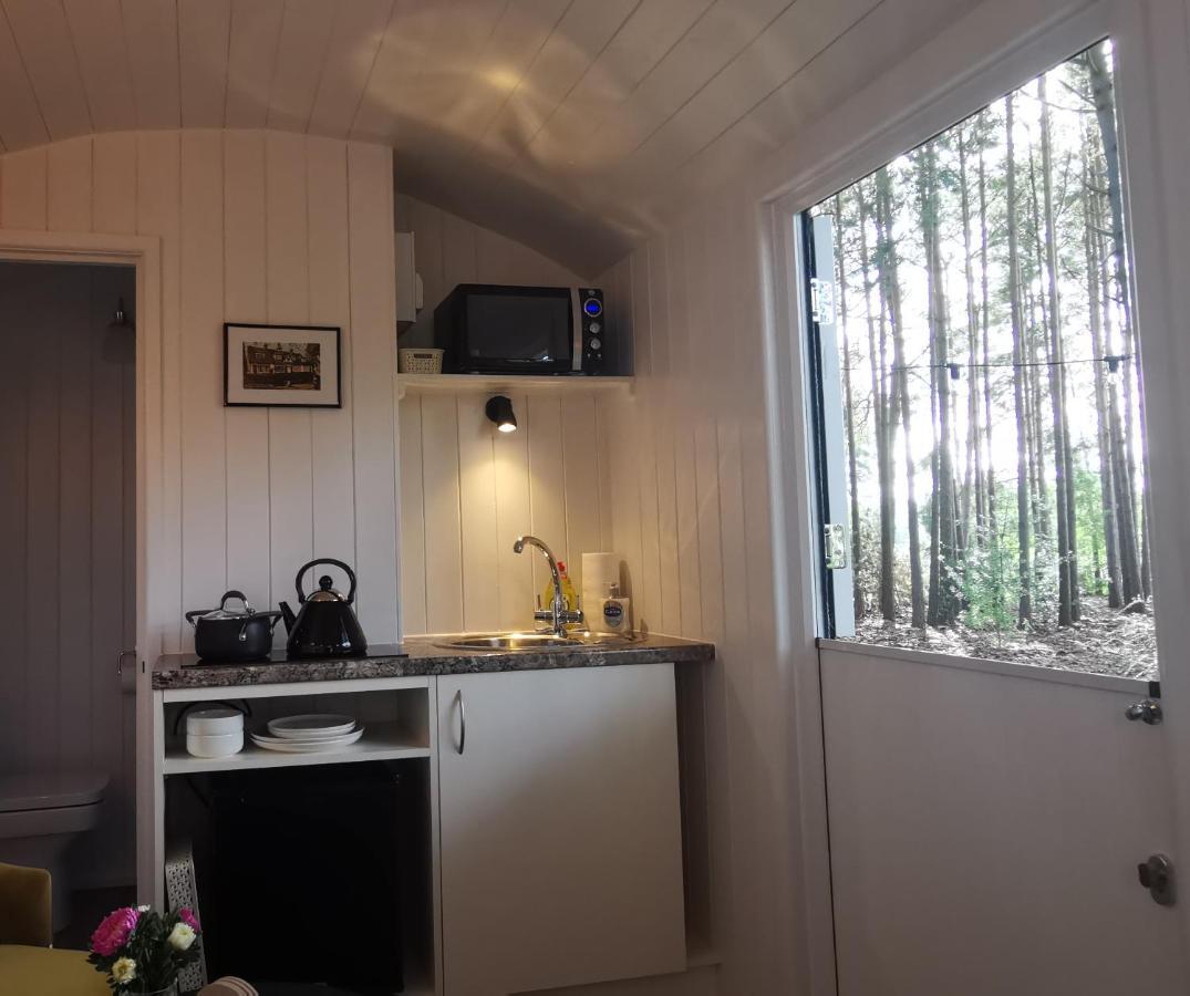Forest Heath Shepherd'S Huts Ringwood Εξωτερικό φωτογραφία