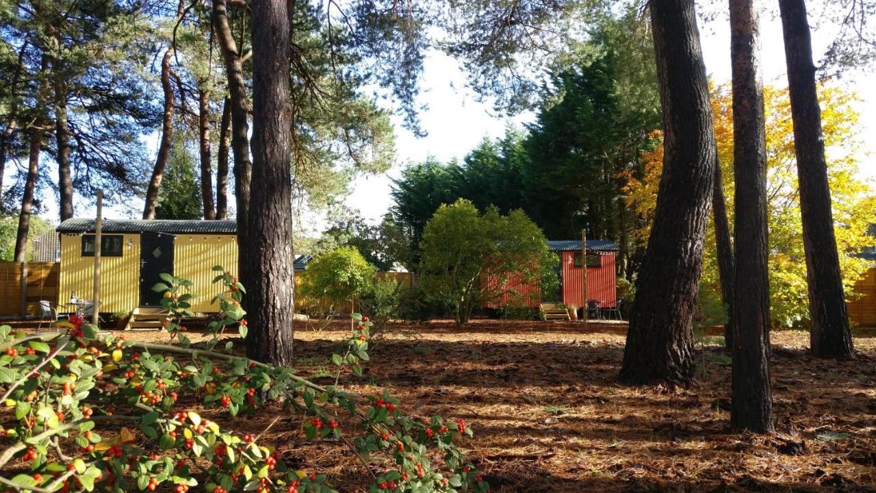 Forest Heath Shepherd'S Huts Ringwood Εξωτερικό φωτογραφία
