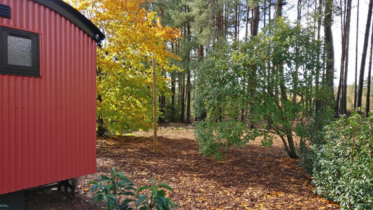 Forest Heath Shepherd'S Huts Ringwood Εξωτερικό φωτογραφία