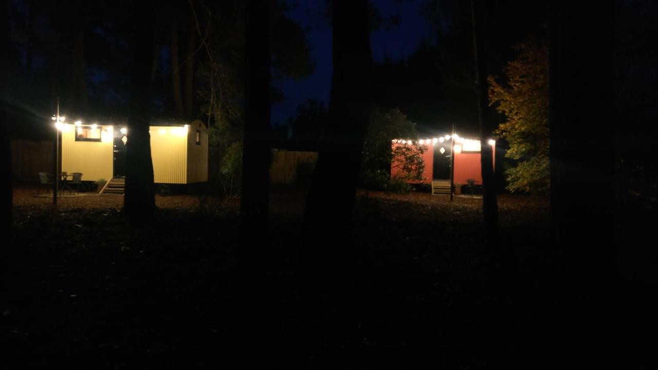 Forest Heath Shepherd'S Huts Ringwood Εξωτερικό φωτογραφία