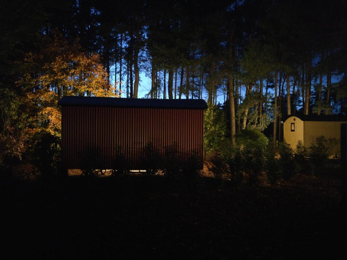 Forest Heath Shepherd'S Huts Ringwood Εξωτερικό φωτογραφία